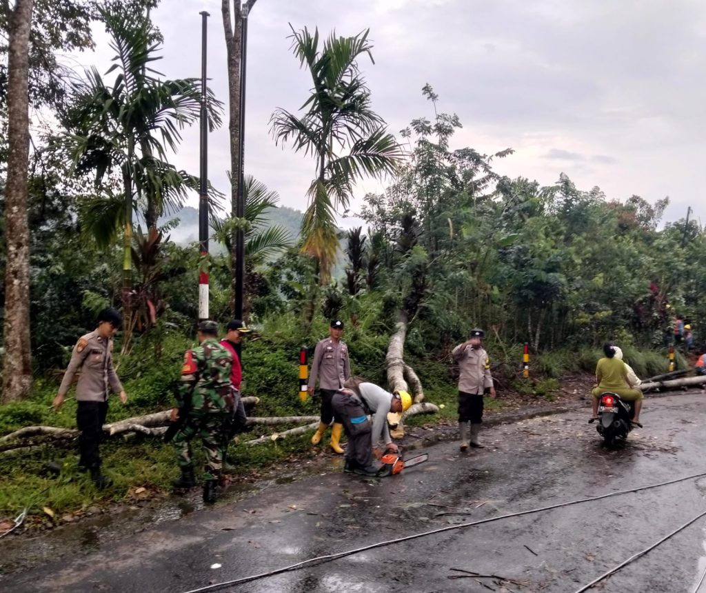Pohon Tumbang Akibat Hujan dan Angin Kencang, Polsek Lebong Selatan Sigap Amankan Jalan.