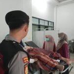 Pohon Tumbang Akibat Angin Kencang di Lebong, Satu Warga Terluka.