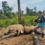 Kapolda Bengkulu Perintahkan Jajarannya Selidiki Penyebab Kematian Dua Gajah