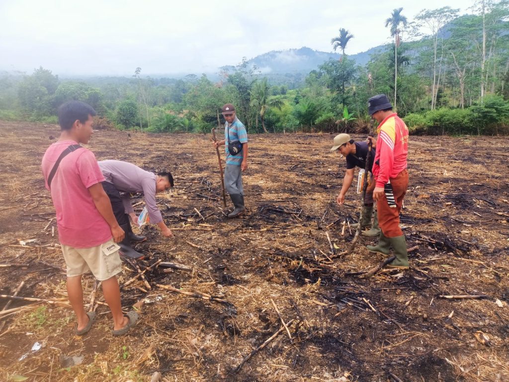 Dukung Ketahanan Pangan Nasional, Bhabinkamtibmas Polsek Lebong Atas Kawal Penanaman Jagung 1 Hektare