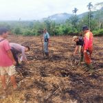 Dukung Ketahanan Pangan Nasional, Bhabinkamtibmas Polsek Lebong Atas Kawal Penanaman Jagung 1 Hektare