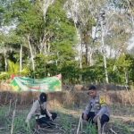 Pendampingan Jagung Warga, Wujud Dukungan Ketahanan Pangan