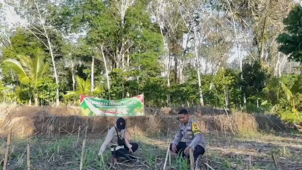 Pendampingan Jagung Warga, Wujud Dukungan Ketahanan Pangan