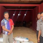 Panen Jagung Sukses, Polres Lebong Terus Dampingi Petani