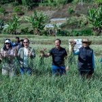 Satgas Pangan Polri Perkuat Swasembada Bawang Putih, Lahan Tanam di Sembalun Capai 534 Hektare
