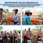 Polda Bengkulu Panen 4 Ton Jagung dan Tebar 3.000 Benih Ikan Patin, Dukung Ketahanan Pangan