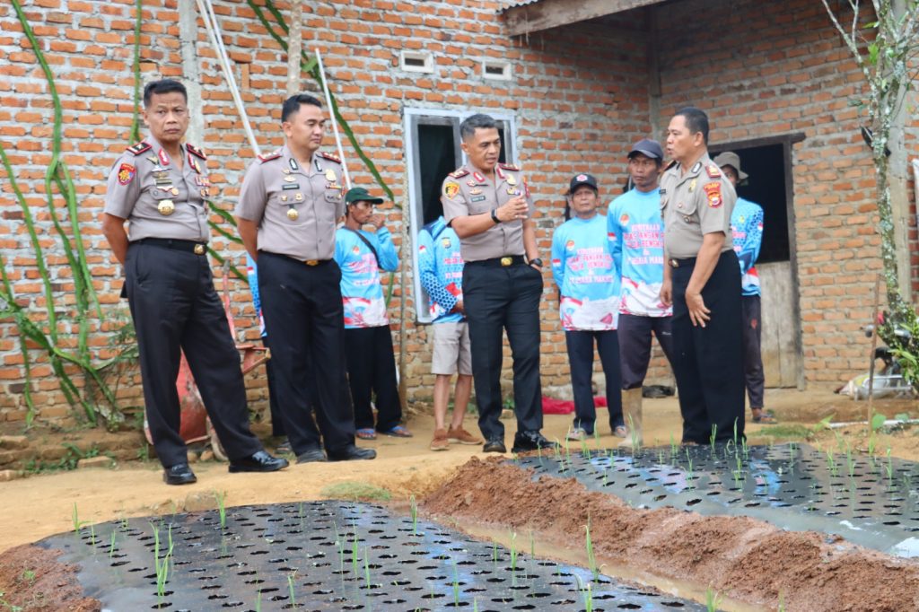 Dukung Swasembada Bawang Putih, Kapolda Bengkulu Cek Demplot Varietas Sangga Sembalun di Lebong